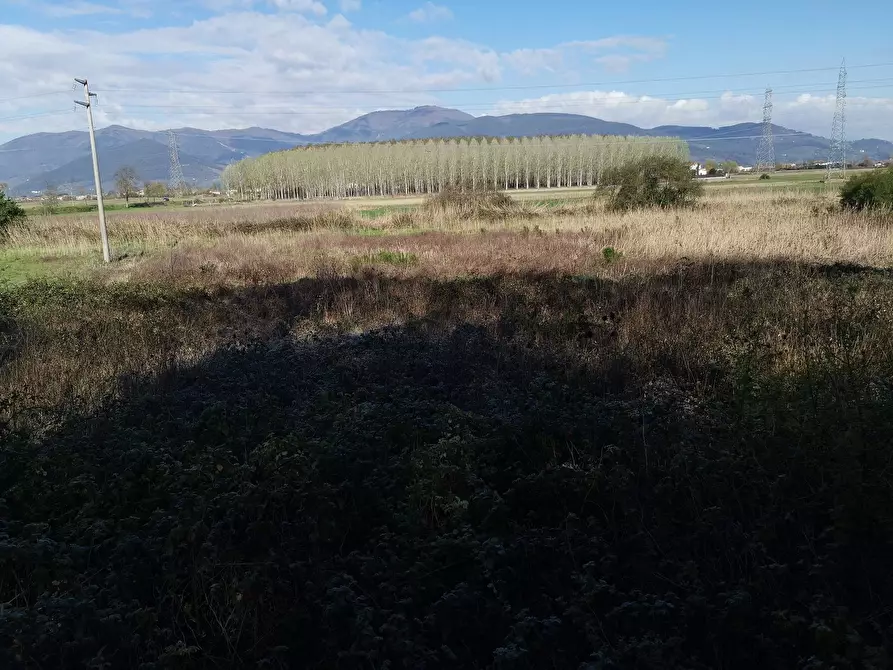 Immagine 8 di Terreno agricolo in vendita  in via Del Puntone a Bientina