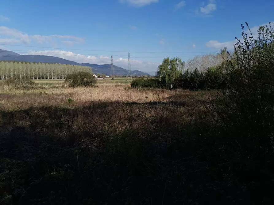 Immagine 9 di Terreno agricolo in vendita  in via Del Puntone a Bientina