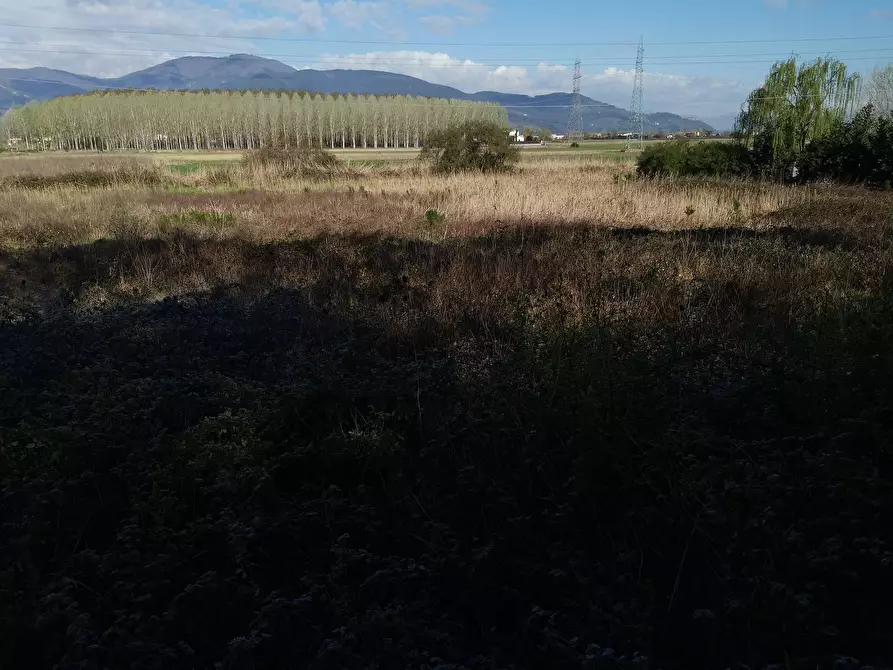 Immagine 10 di Terreno agricolo in vendita  in via Del Puntone a Bientina