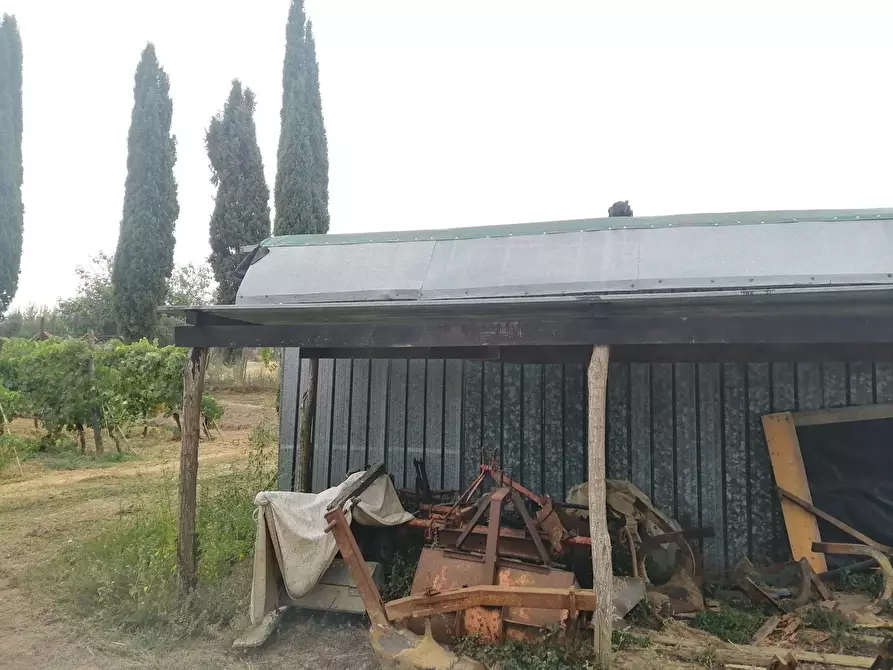 Immagine 2 di Terreno agricolo in vendita  a Casciana Terme Lari