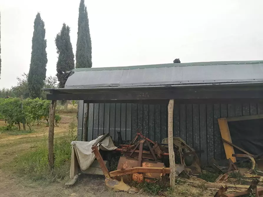 Immagine 3 di Terreno agricolo in vendita  a Casciana Terme Lari