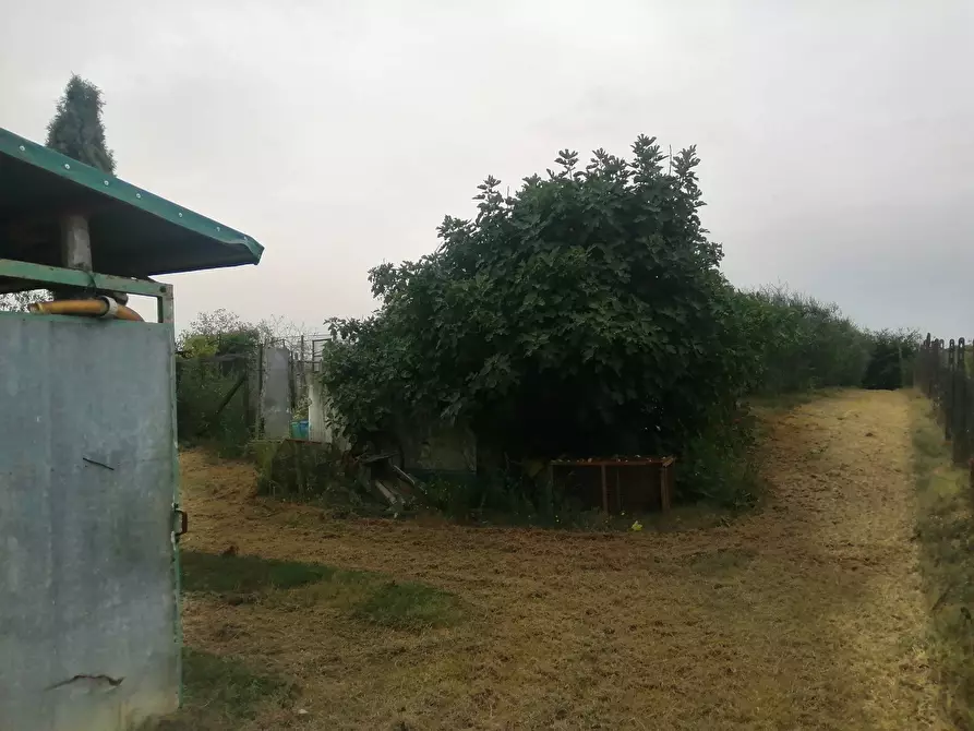 Immagine 4 di Terreno agricolo in vendita  a Casciana Terme Lari