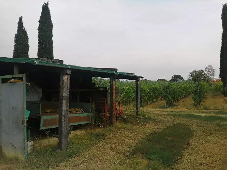 Immagine 9 di Terreno agricolo in vendita  a Casciana Terme Lari