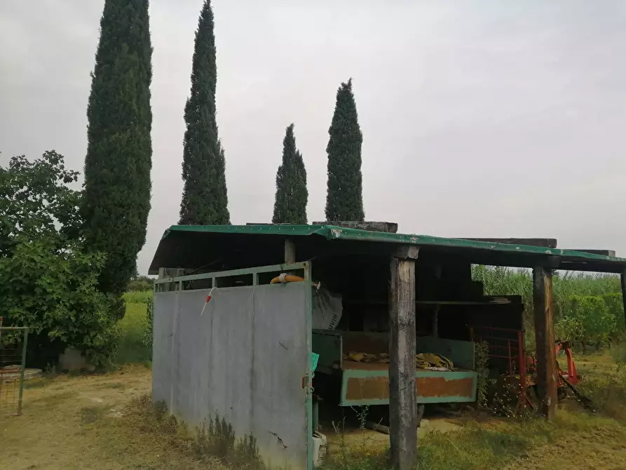 Immagine 10 di Terreno agricolo in vendita  a Casciana Terme Lari