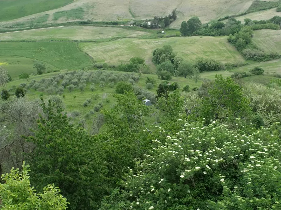 Immagine 10 di Casa indipendente in vendita  in Via del Castello a Casciana Terme Lari