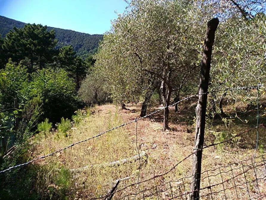 Immagine 20 di Casa indipendente in vendita  in via di Panicale a Buti