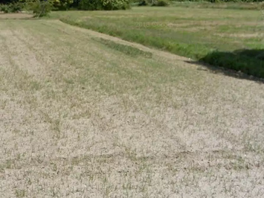 Immagine 1 di Terreno agricolo in vendita  in via fratelli rosselli a Camaiore