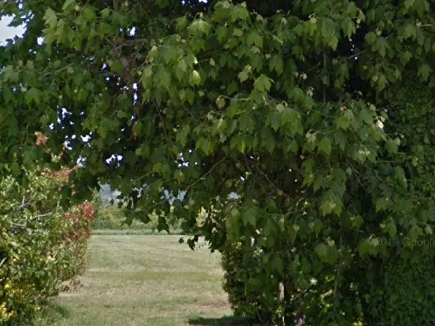 Immagine 1 di Terreno agricolo in vendita  in via fratelli rosselli a Camaiore