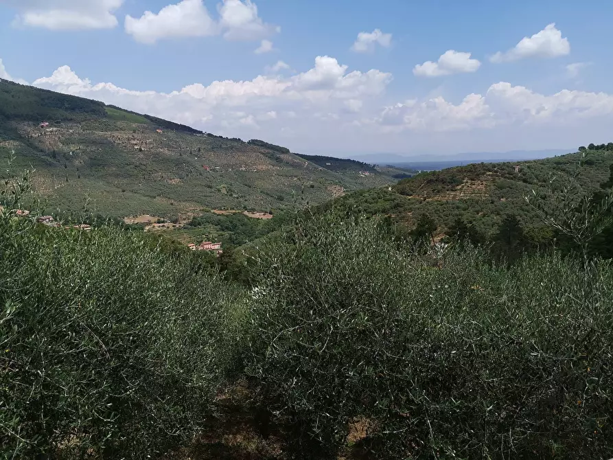 Immagine 7 di Villetta a schiera in vendita  in via Cima alla serra a Buti