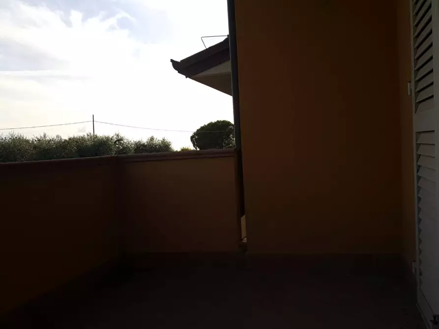 Immagine 3 di Appartamento in vendita  in Via Querce, 56020 Santa Maria a Monte a Santa Maria A Monte