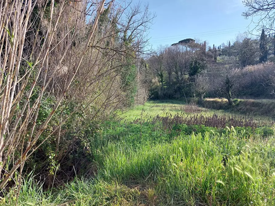 Immagine 2 di Casa indipendente in vendita  in via delle colline per legoli a Palaia