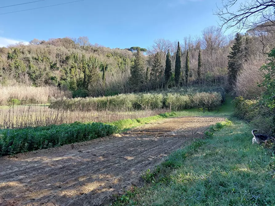 Immagine 1 di Casa indipendente in vendita  in via delle colline per legoli a Palaia