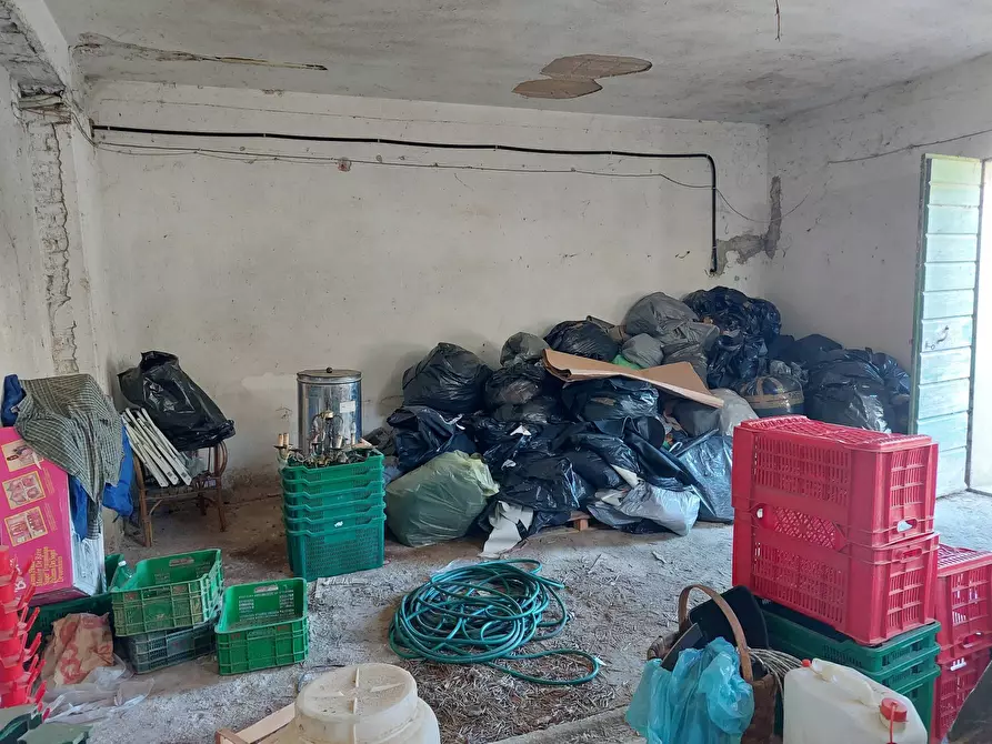 Immagine 10 di Casa indipendente in vendita  in via delle colline per legoli a Palaia