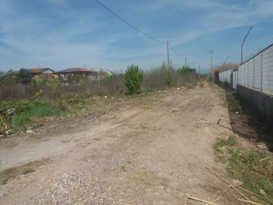 Immagine 1 di Terreno agricolo in affitto  in via martraverso a San Giuliano Terme