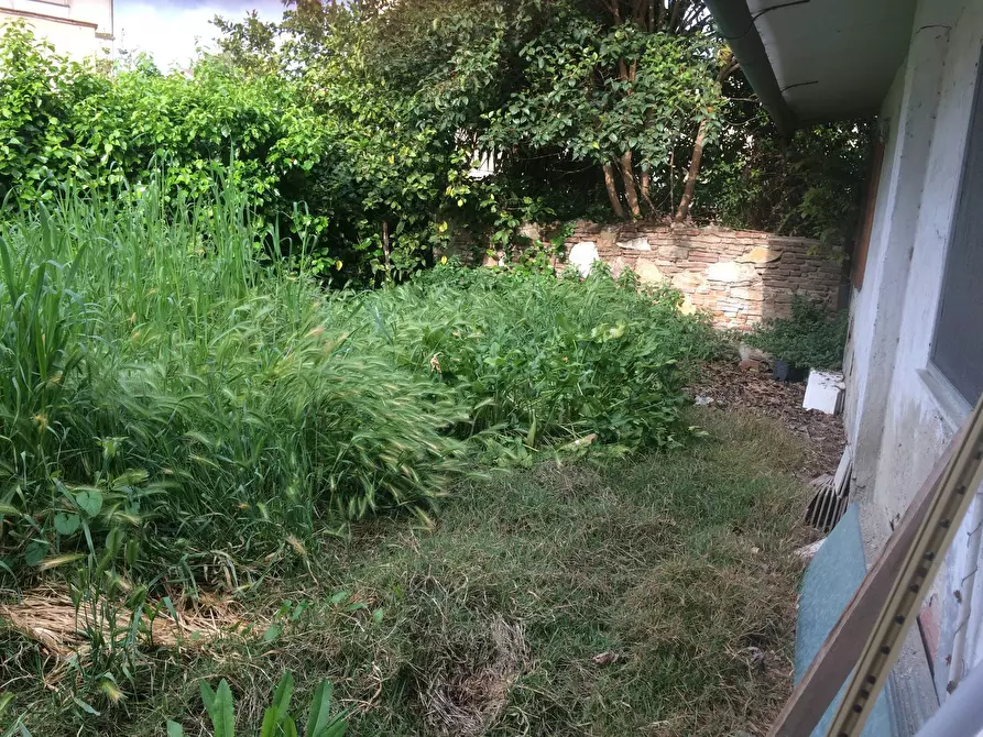 Immagine 9 di Attività commerciale in vendita  in Pisa a Pisa