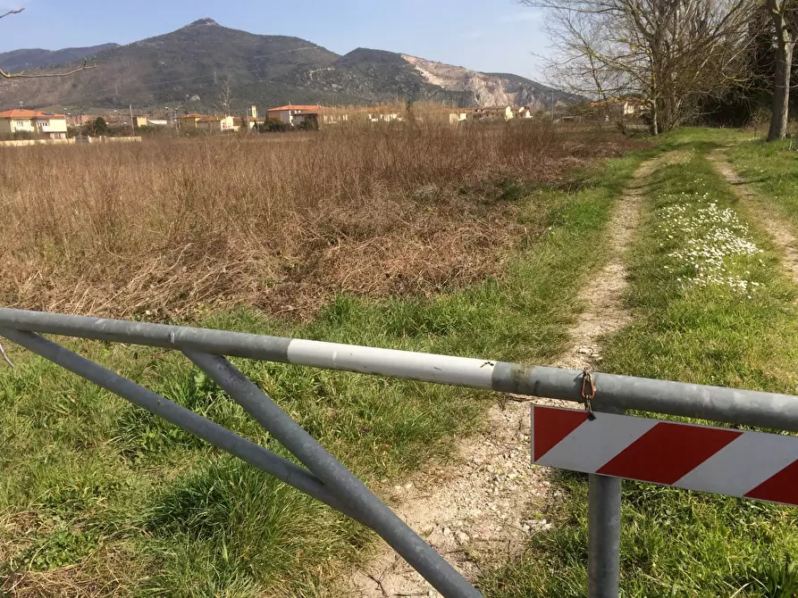 Immagine 4 di Terreno agricolo in vendita  in Via Livornese a Pisa