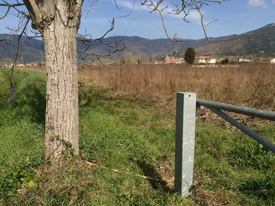 Immagine 8 di Terreno agricolo in vendita  in Via Livornese a Pisa