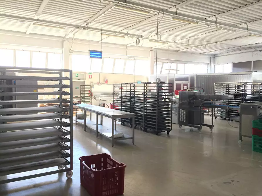 Immagine 3 di Attività commerciale in vendita  in Via Piemonte a Casciana Terme Lari