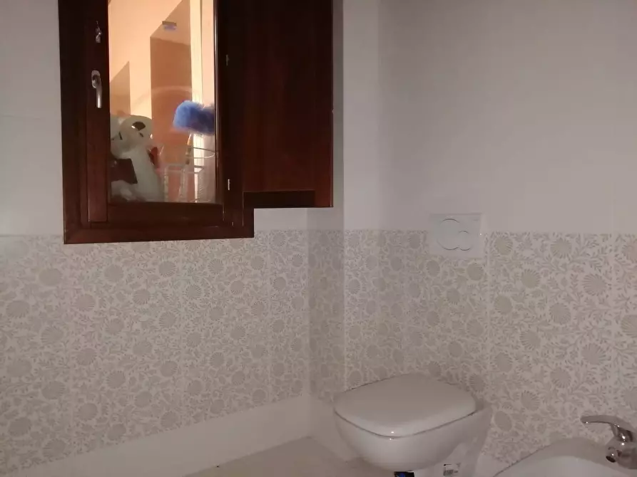 Immagine 17 di Appartamento in vendita  in toscoromagnola a Pontedera