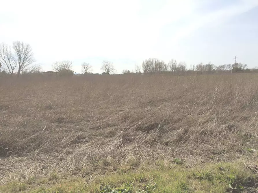 Immagine 1 di Terreno agricolo in vendita  a Castelfranco Di Sotto