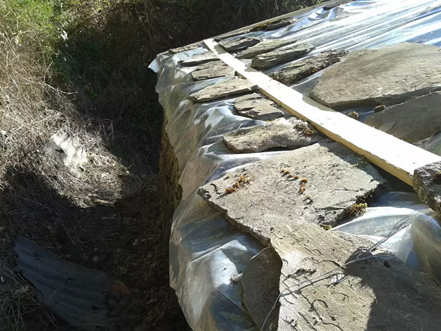 Immagine 8 di Casa indipendente in vendita  in Via del Carmine a Sillano Giuncugnano