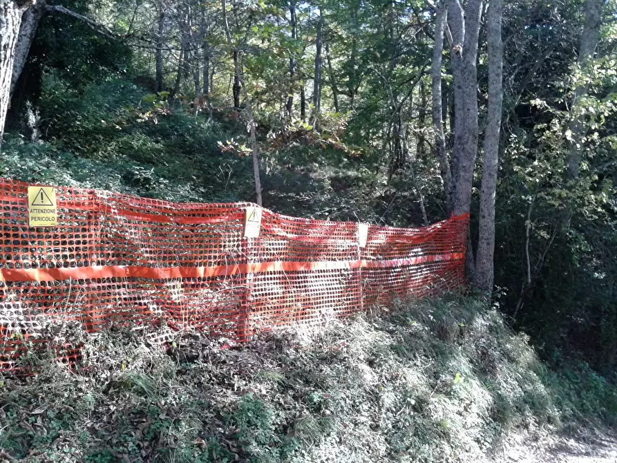 Immagine 11 di Casa indipendente in vendita  in Via del Carmine a Sillano Giuncugnano
