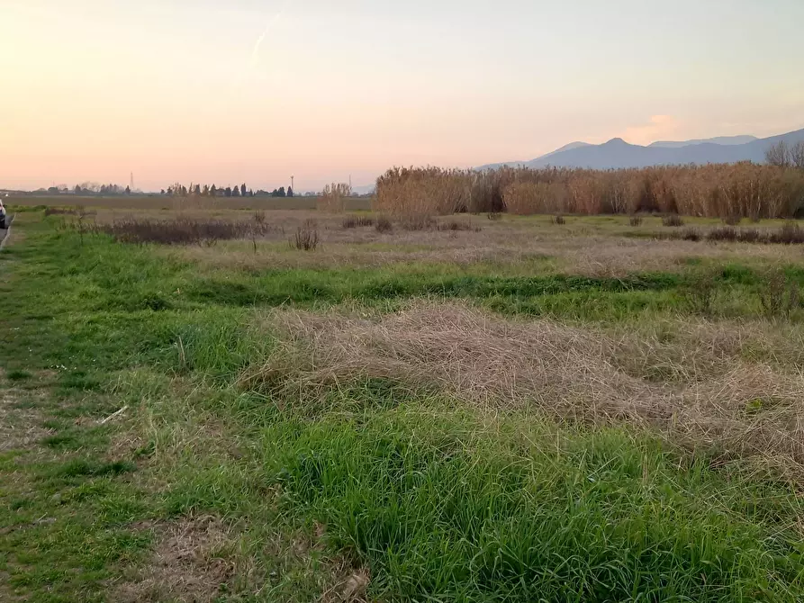 Immagine 1 di Terreno agricolo in vendita  in Via della Repubblica a Casciana Terme Lari