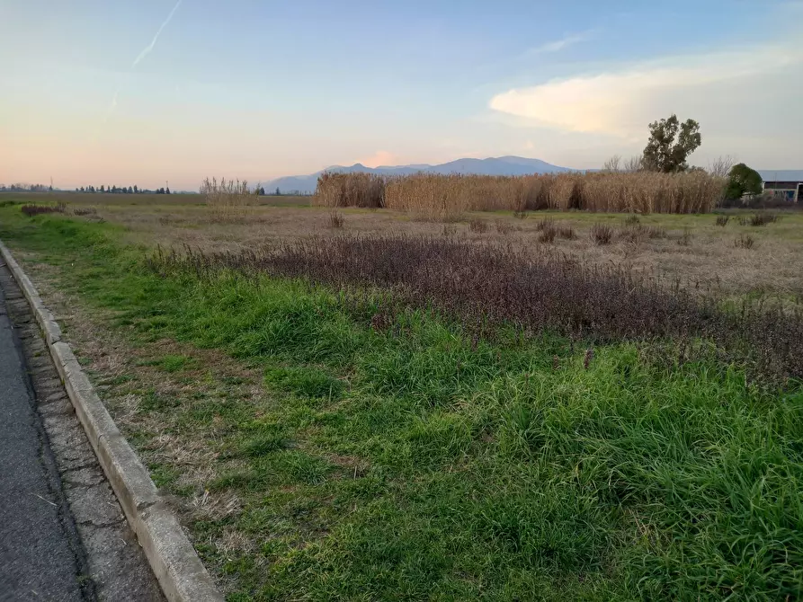 Immagine 1 di Terreno agricolo in vendita  in Via della Repubblica a Casciana Terme Lari