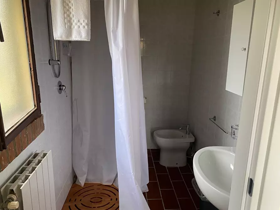 Immagine 10 di Attività commerciale in vendita  a Montopoli In Val D'arno