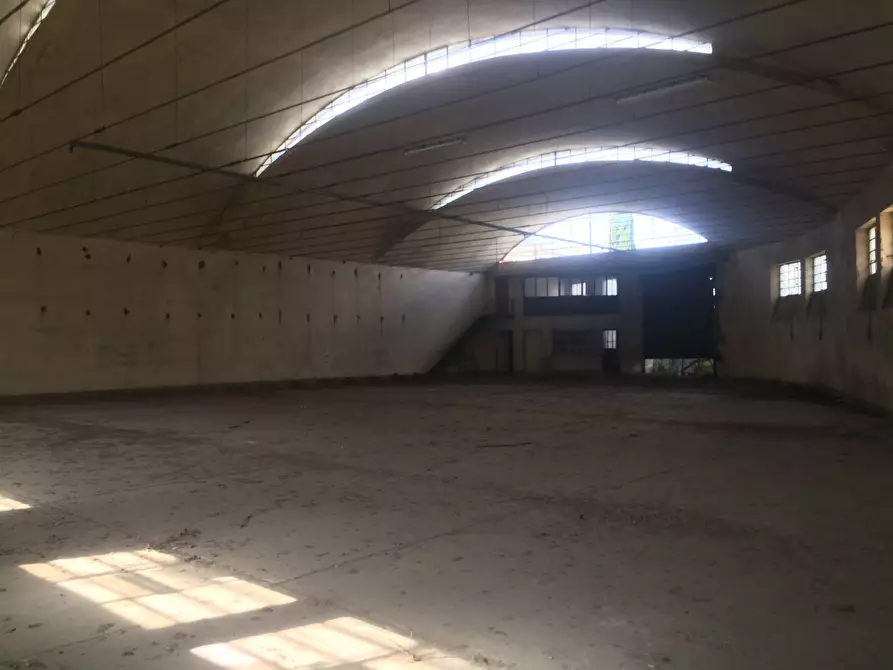 Immagine 3 di Attività commerciale in vendita  a Lucca