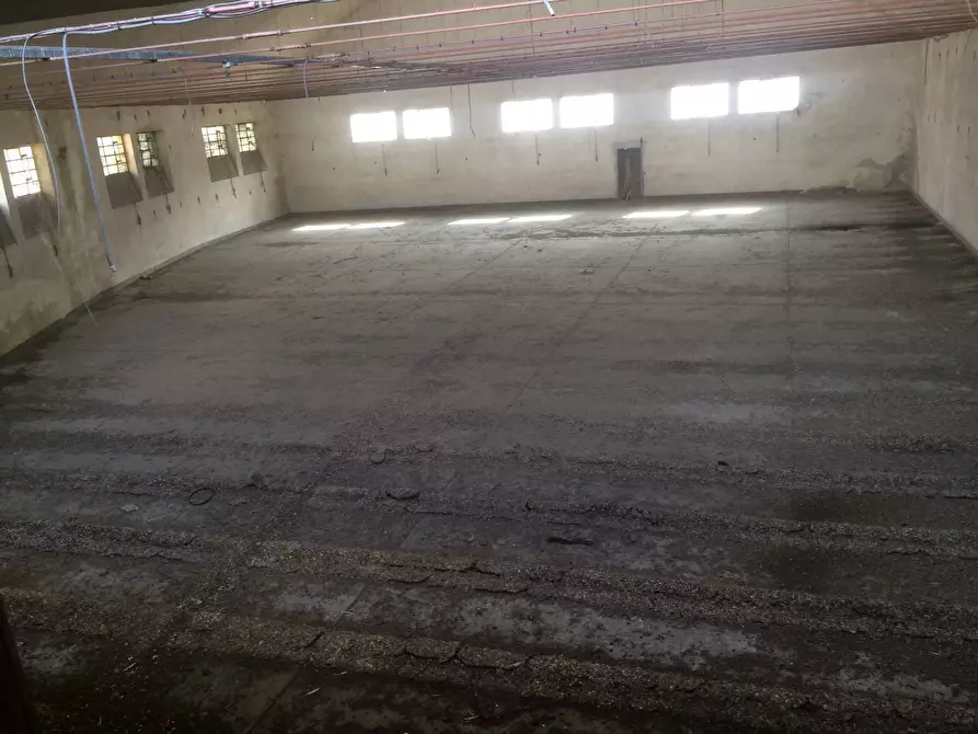 Immagine 4 di Attività commerciale in vendita  a Lucca