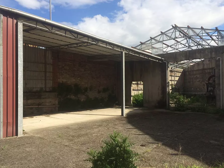 Immagine 5 di Attività commerciale in vendita  a Lucca