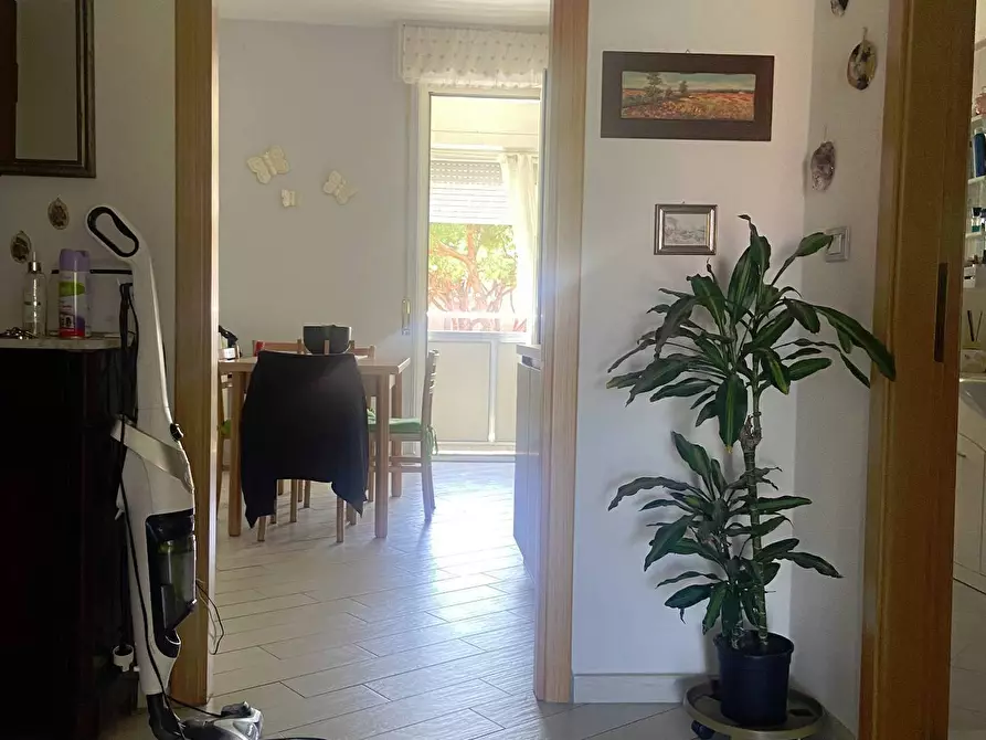 Immagine 22 di Appartamento in vendita  in Via Niccolo' Tommaseo a Livorno