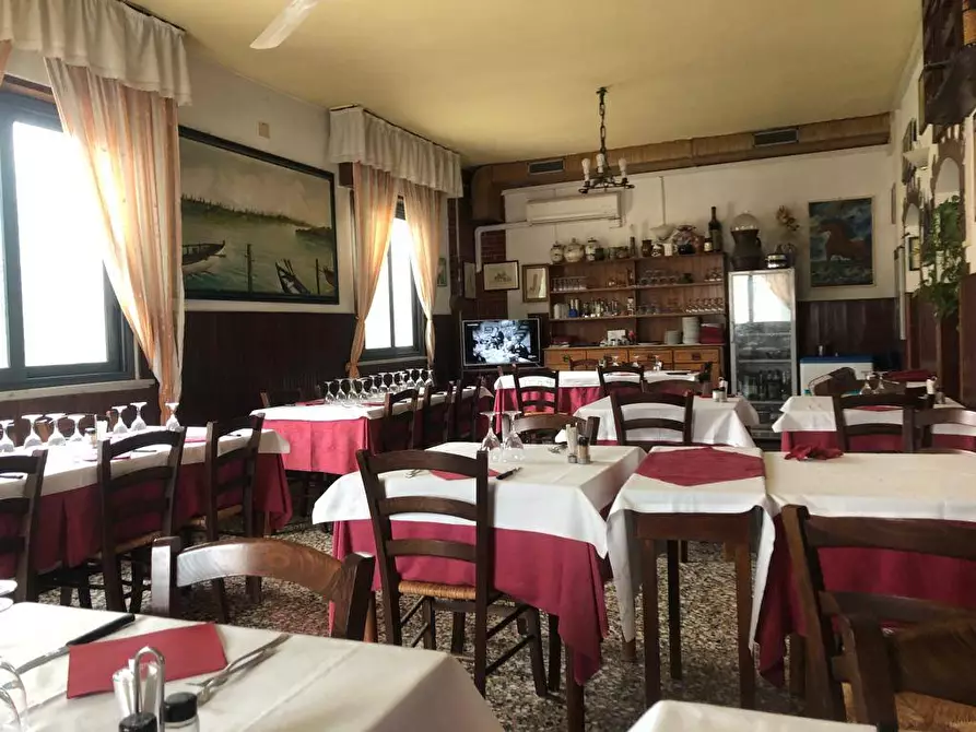 Immagine 4 di Attività commerciale in vendita  in via edmondo de amicis a San Giuliano Terme