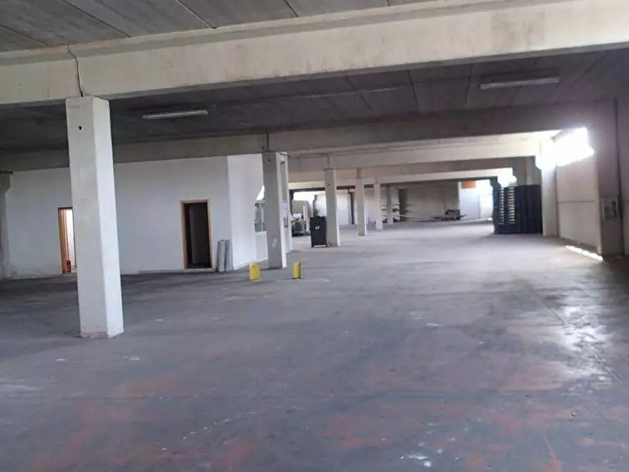 Immagine 6 di Attività commerciale in vendita  in dei Carpentieri a Camaiore