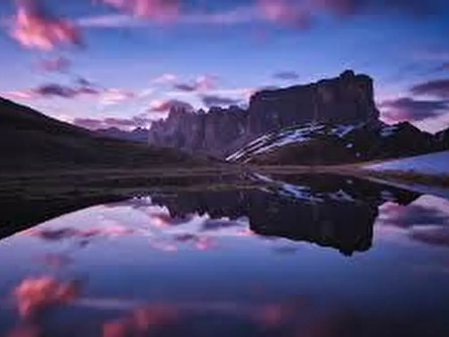 Immagine 4 di Terreno agricolo in vendita  in Strada Provinciale 31 Cucigliana Lorenzana a Fauglia