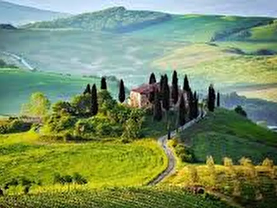 Immagine 7 di Terreno agricolo in vendita  in Strada Provinciale 31 Cucigliana Lorenzana a Fauglia