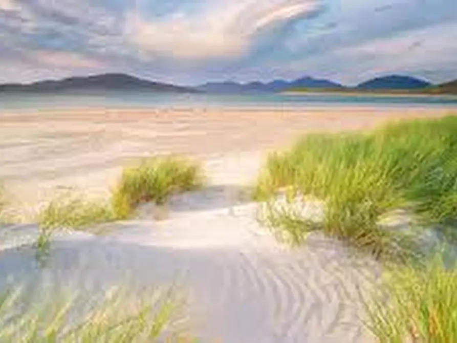 Immagine 9 di Terreno agricolo in vendita  in Strada Provinciale 31 Cucigliana Lorenzana a Fauglia