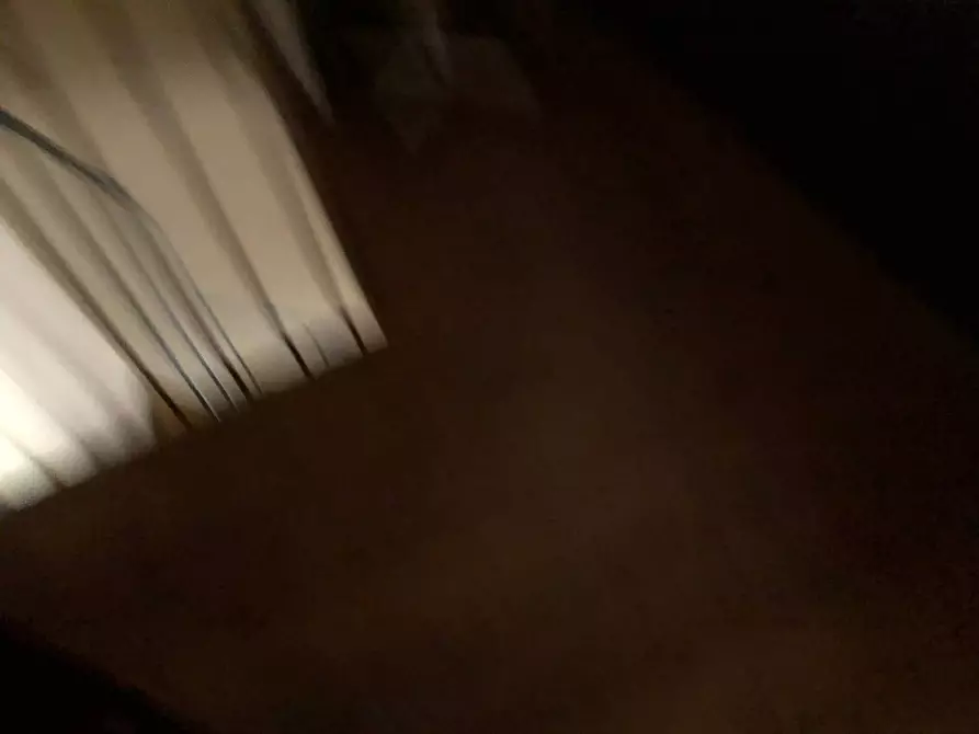 Immagine 7 di Attività commerciale in affitto  in via san martino a Pisa