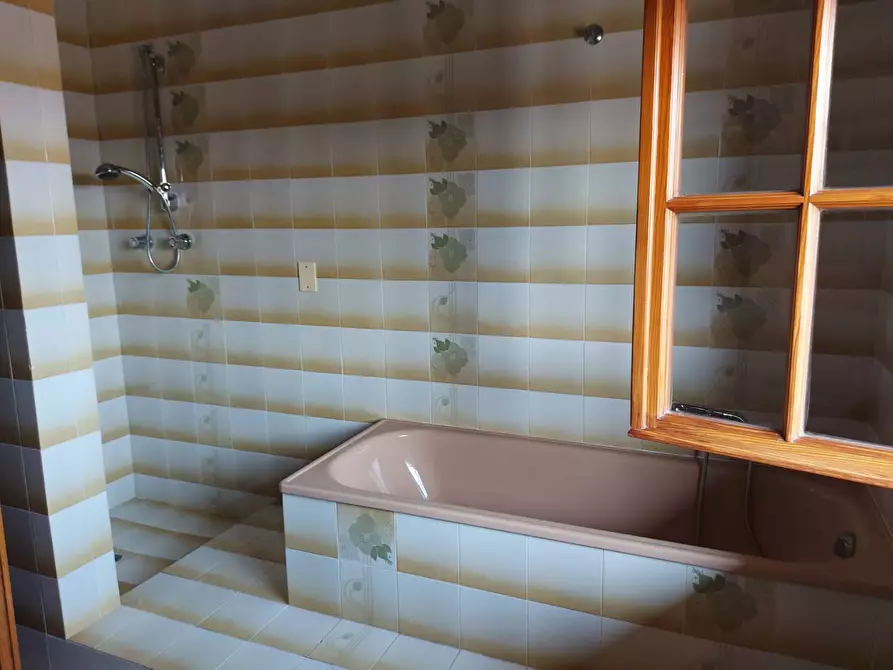 Immagine 15 di Appartamento in affitto  in Via Livornese a Pisa