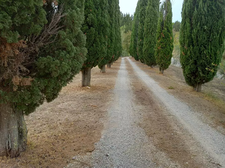 Immagine 4 di Casa indipendente in vendita  in Via Castel Fiorentino a San Miniato