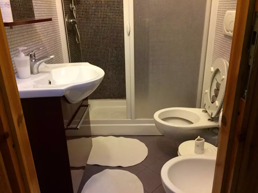 Immagine 9 di Appartamento in vendita  in Via Borgo Stretto a Pisa