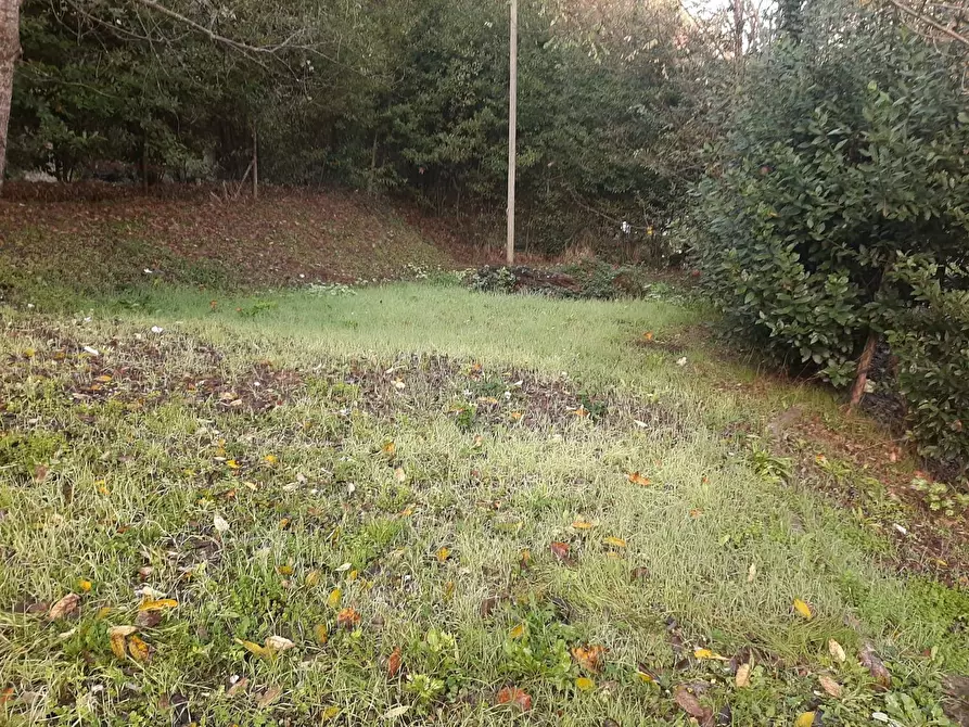 Immagine 22 di Casa indipendente in vendita  in via delle vigne a Vicopisano