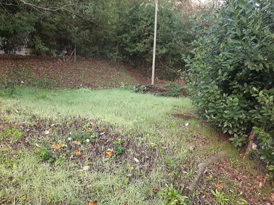 Immagine 23 di Casa indipendente in vendita  in via delle vigne a Vicopisano