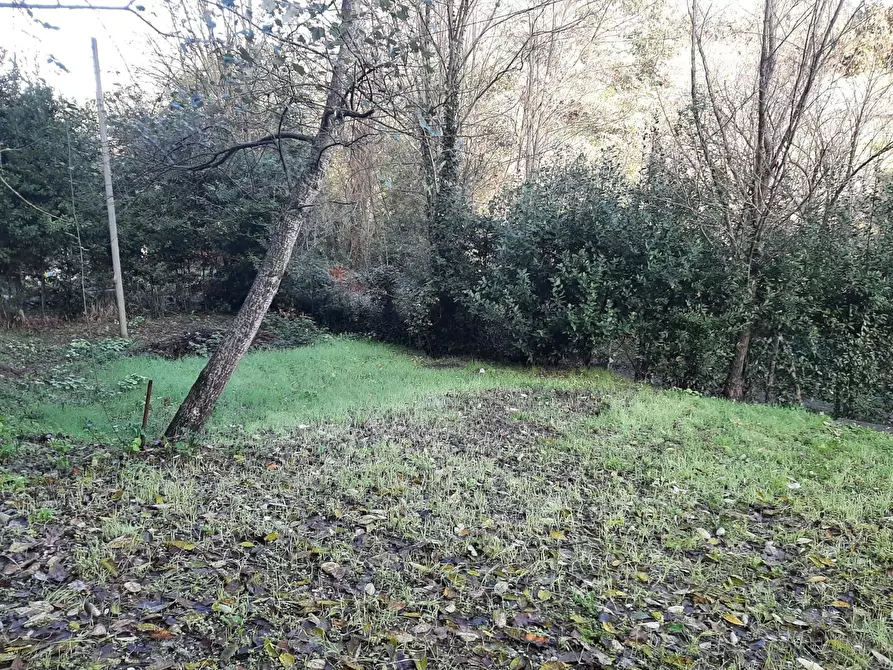 Immagine 24 di Casa indipendente in vendita  in via delle vigne a Vicopisano
