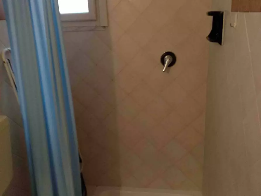 Immagine 15 di Appartamento in affitto  in Viareggio Centro a Viareggio