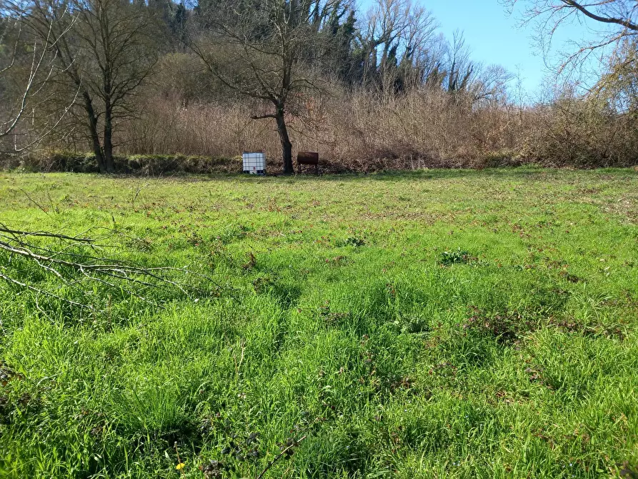 Immagine 2 di Terreno agricolo in vendita  in Via del cormercio a Casciana Terme Lari