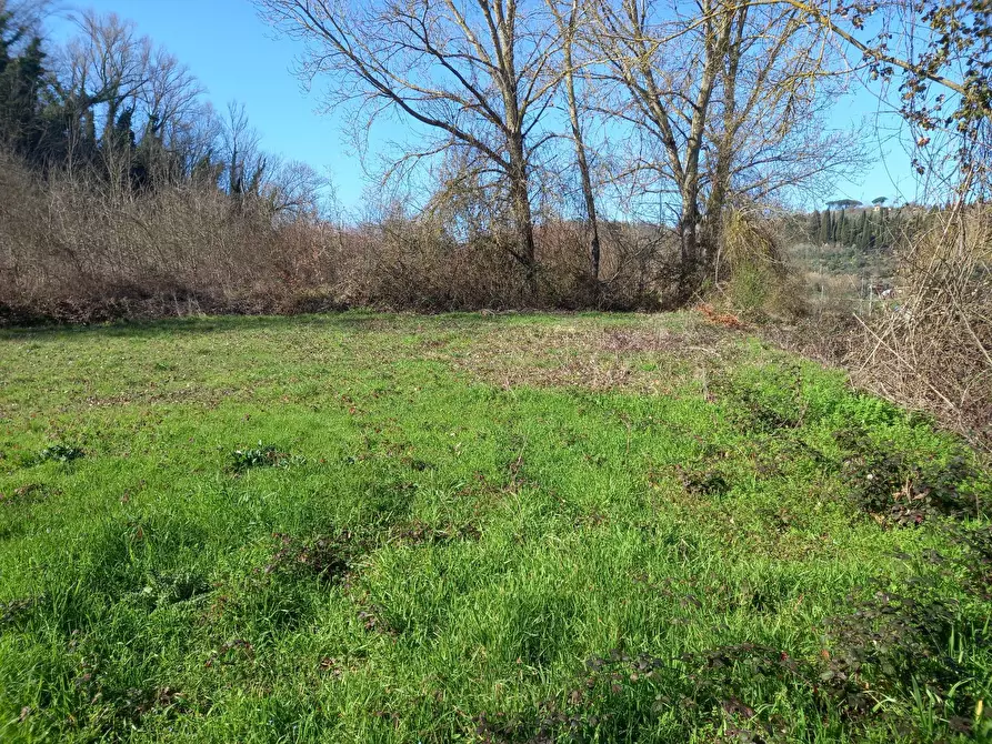 Immagine 3 di Terreno agricolo in vendita  in Via del cormercio a Casciana Terme Lari