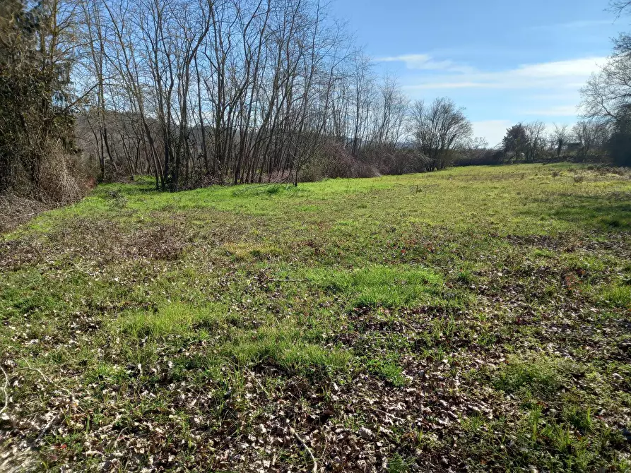 Immagine 5 di Terreno agricolo in vendita  in Via del cormercio a Casciana Terme Lari