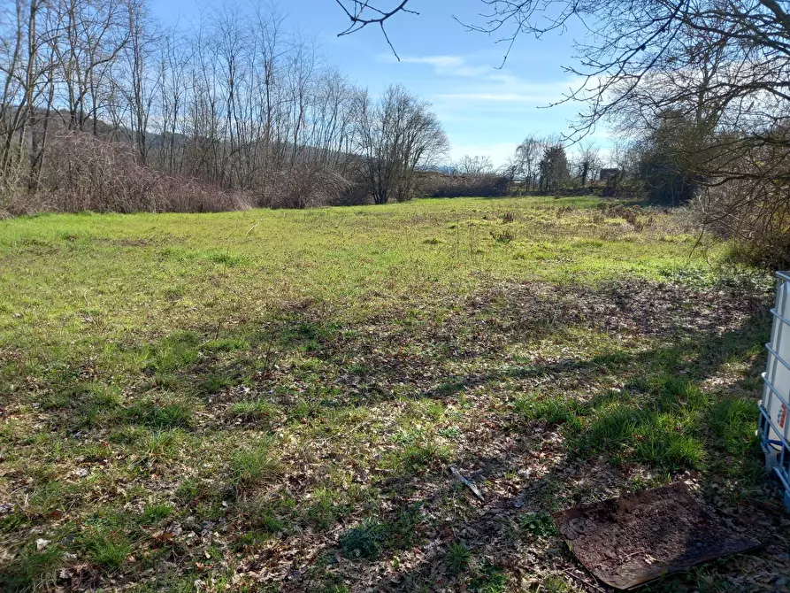 Immagine 6 di Terreno agricolo in vendita  in Via del cormercio a Casciana Terme Lari